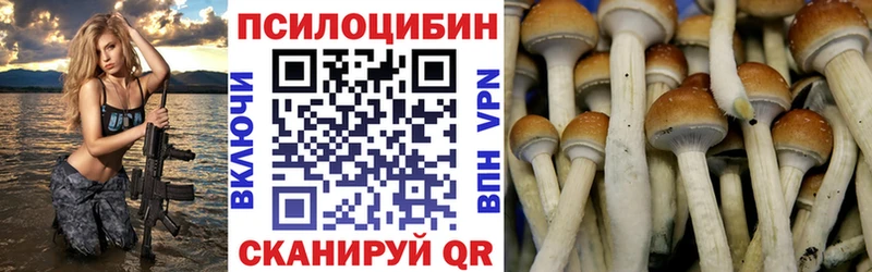 где купить наркоту  Альметьевск  Галлюциногенные грибы Psilocybine cubensis 